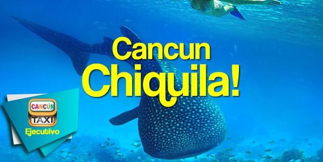 cancun to chiquila taxi